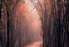 德甲巅峰战!拜仁主场碾压升班马?凯恩破荒玄学预言3球血洗…….