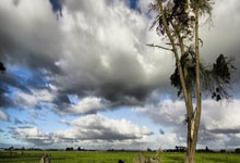 bb体育官网:尴尬库尔图瓦时隔2年回归比利时队,首战对乌克兰丢3球.