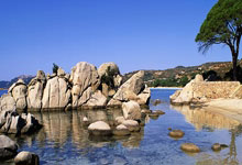 迈阿密网球公开赛郑钦文晋级女单十六强人民日报.